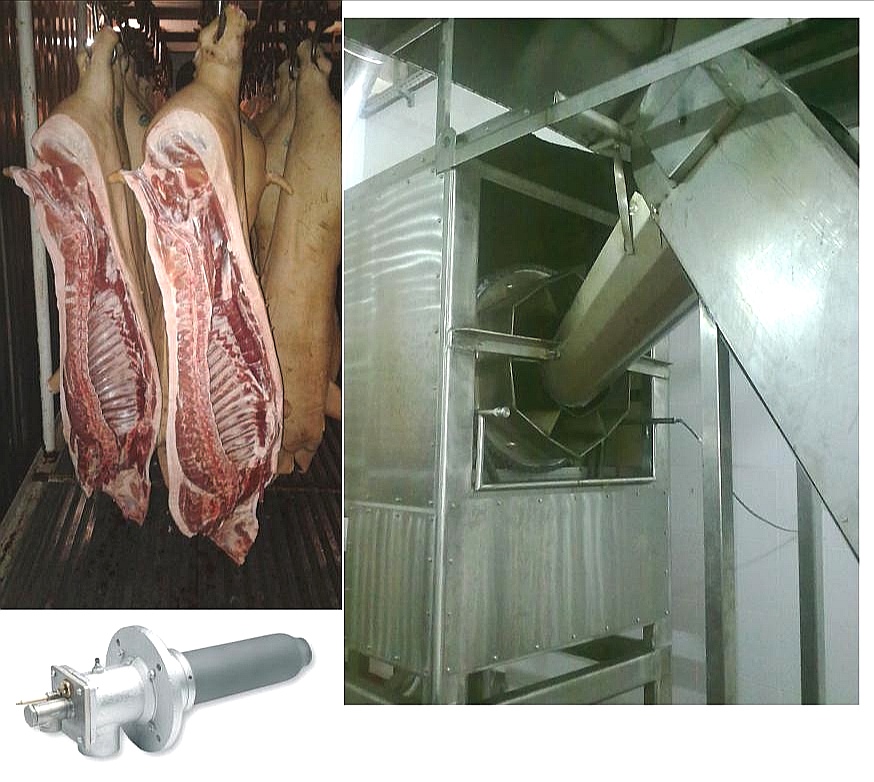 Технологическая линия опалки субпродуктов на газовом нагреве: Проектирование, производство и ввод в эксплуатацию Технологическая линия опалки субпродуктов на газовом нагреве: Проектирование, производство и ввод в эксплуатацию