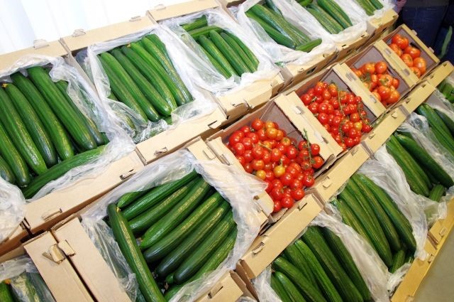 Оптово-розничный плодоовощной рынок